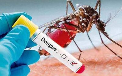 Misión de la OPS apoya medidas preventivas contra el dengue en Chile