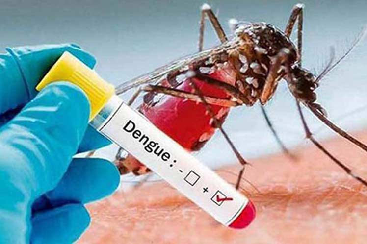 Misión de la OPS apoya medidas preventivas contra el dengue en Chile
