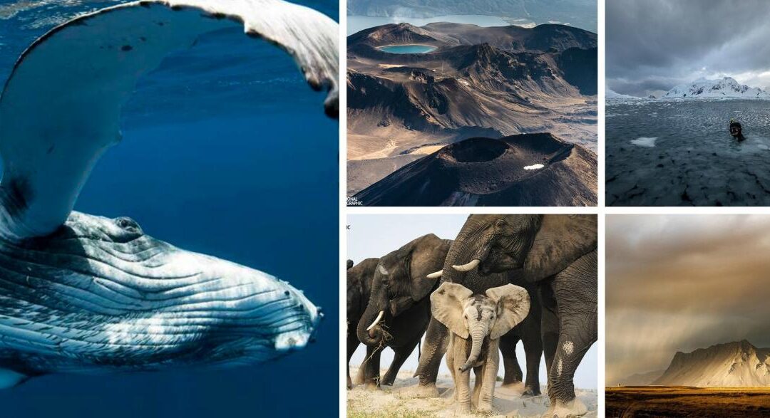 Las mejores 10 imágenes del Concurso de fotografía de National Geographic 2015