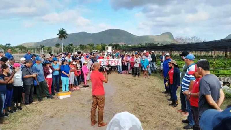 Pineros sumados a jornada voluntaria