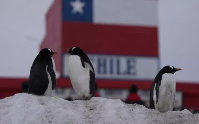 Alianza entre Milei y EEUU preocupa a Chile: “Está en juego la puerta de entrada a la Antártida”