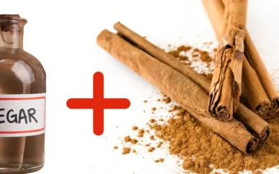 Insecticida casero contra los mosquitos utilizando un ingrediente de la cocina
