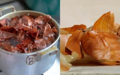 ¿Porqué no deberías tirar las cáscaras de cebolla?