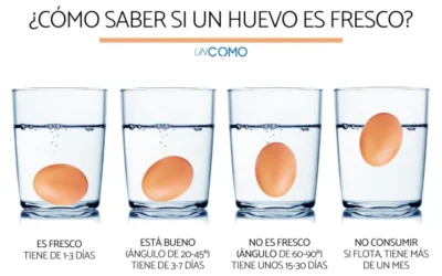 Cómo comprobar la frescura de un huevo