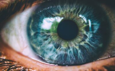 El intrigante secreto de los ojos de color azul: no existen