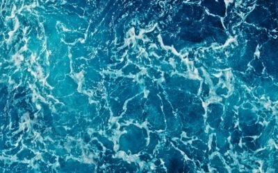 El curioso origen del olor a mar: una mezcla de azufre, algas y marisco