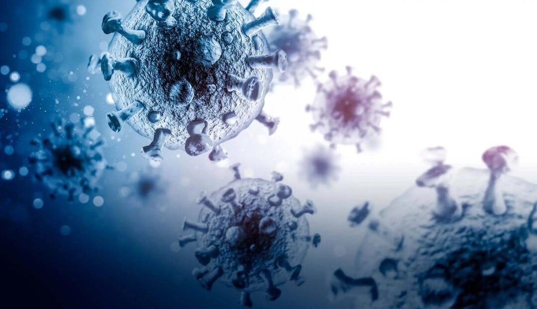 Un virus poco conocido avanza y deja decenas de muertos en la India