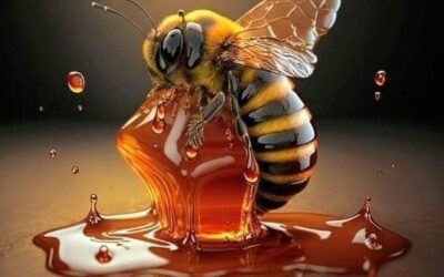 Datos curiosos de las abejas