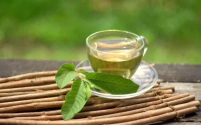 Hoja de guayaba: para qué sirve, 12 beneficios y cómo preparar el té