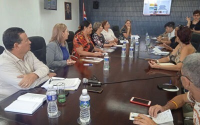 Normativas para actores económicos deben corregir distorsiones