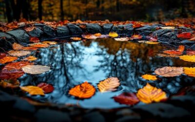 ¿Cuál es el lago más pequeño del mundo?