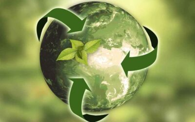 China celebra Día Nacional de Ecología enfocado en desarrollo verde