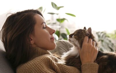 ¿Qué significa que un gato se te suba encima espiritualmente?