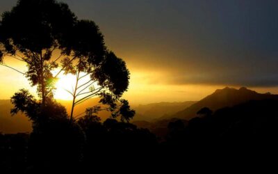El ecosistema de las montañas del Escambray al centro sur de Cuba (+Fotos)