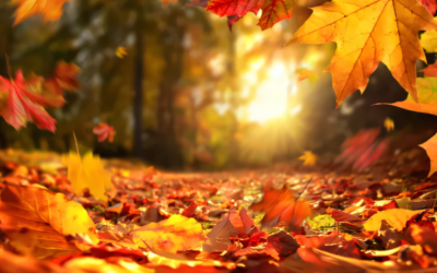 Equinoccio de otoño 2024: hemisferio norte y sur