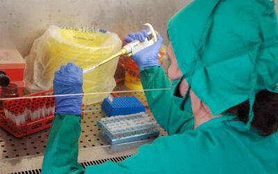 Enfrentamiento al oropouche: una nueva etapa para la ciencia cubana o la demostración de su pertinencia