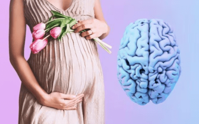 Cambios cerebrales durante el embarazo: un estudio revela su permanencia postparto