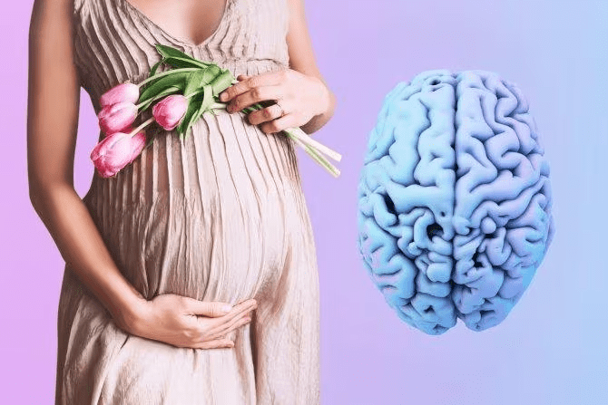 Cambios cerebrales durante el embarazo: un estudio revela su permanencia postparto