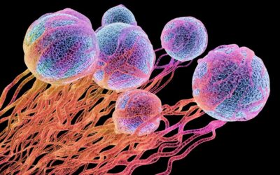 Desarrollan un tratamiento eficaz para curar y prevenir el cáncer 