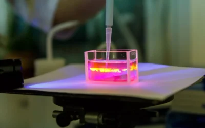 El Nobel de Medicina 2024 premia el descubrimiento del micro-ARN