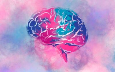 Efectos del sueño y ejercicio podrían durar en el cerebro por 15 días