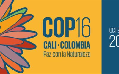 Cuba presentará Programa Nacional sobre Diversidad Biológica en COP16