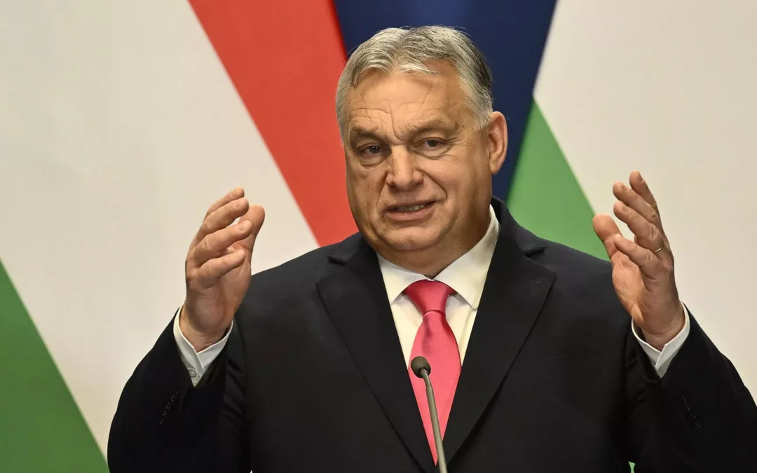 Orban afirma que Georgia no necesita «sermones inútiles» de la Unión Europea
