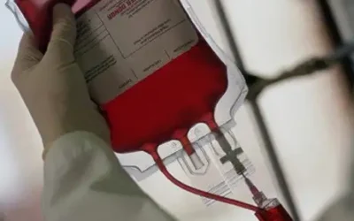 ¿Por qué es importante donar sangre en verano?