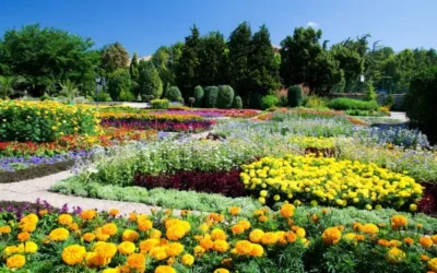 Qué es un jardín botánico