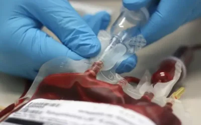 Sangre artificial para transfusiones ¿en qué consiste?