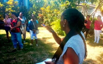 Ciudad Verde, una apuesta pinera por el arbolado urbano (+Fotos)