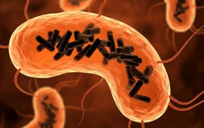 Descubren una nueva entidad biológica que habita en el cuerpo humano