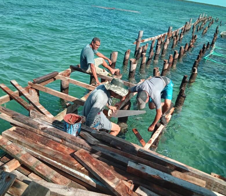 Esfuerzo en pleno  mar