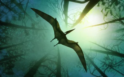 Descubren en Argentina una nueva especie de pterosaurio, la más antigua de su tipo