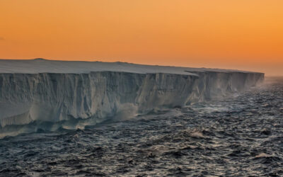 El iceberg más grande del mundo llega a las islas Georgias del Sur