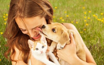 Hacia un mundo más justo: El compromiso de Cuba con el bienestar animal
