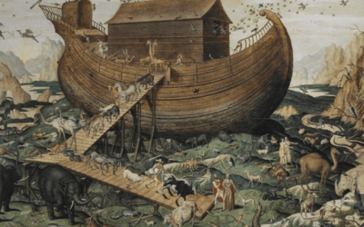 Arqueólogos desentierran el “Arca de Noé” en un hallazgo histórico