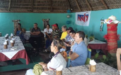 Innovadores pineros aportan a la economía