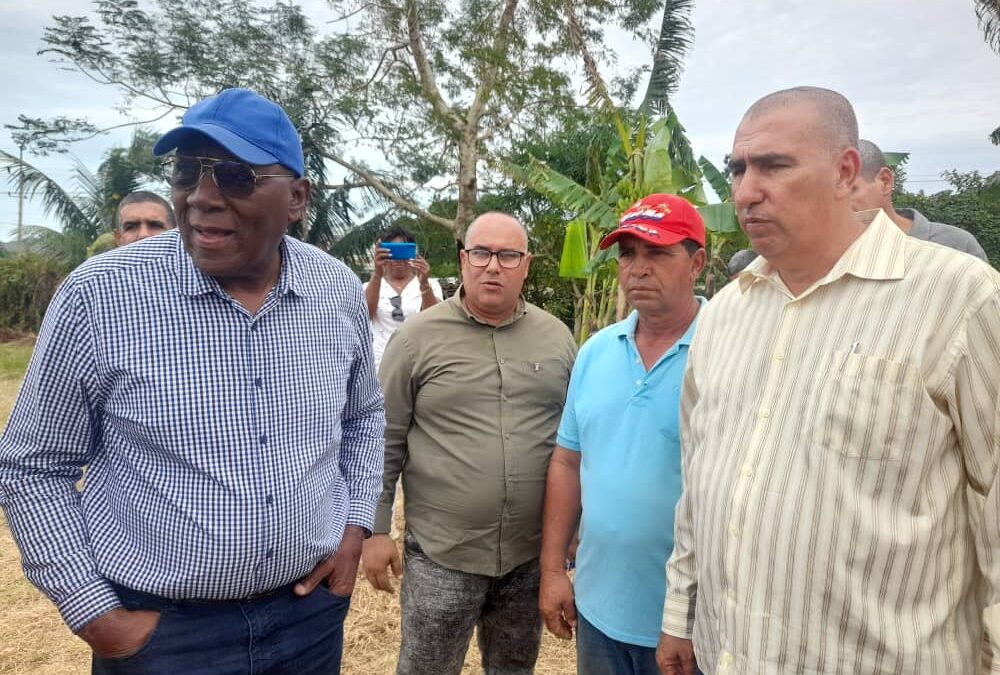 Intercambia Vicepresidente cubano con productores pineros
