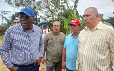 Intercambia Vicepresidente cubano con productores pineros