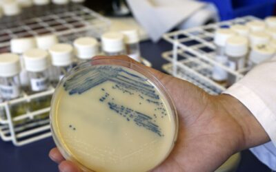 Estiman que «superbacterias» podrían causar hasta 40 millones de muertes en los próximos 25 años