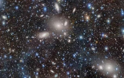 Cámara de Energía Oscura capta el brillo de las galaxias del Cúmulo de Antlia