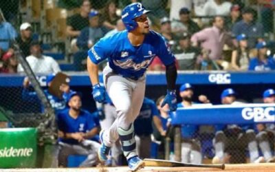 ¿Tigres o Leones?, esta noche se decide campeón de liga dominicana
