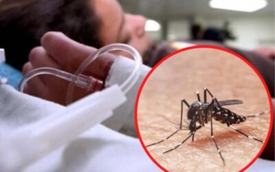 Insisten en Paraguay sobre consulta oportuna ante síntomas de dengue