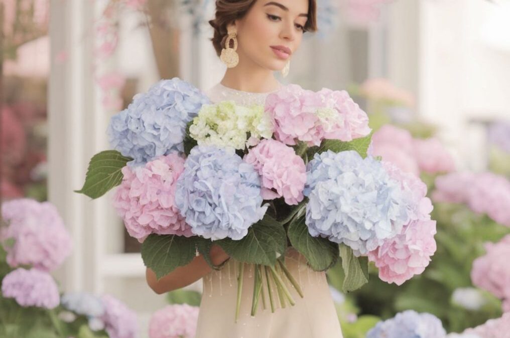 Flores que Representan a Cada Signo del Zodiaco