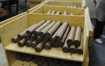 El Oro Pardo de Cuba, los habanos