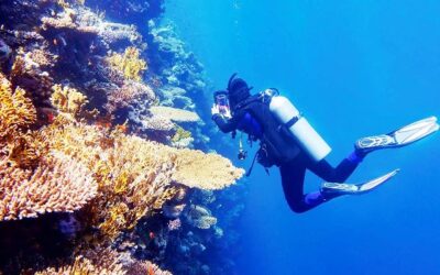 ¿Dónde bucear en Cuba? | Los 8 mejores lugares para sumergirte en la isla