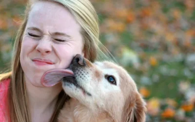 ¿Por qué lamen los perros?