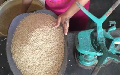 Por más controles en la venta liberada de arroz y frijoles
