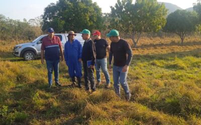 Intercambian autoridades pineras con productores de Papa
